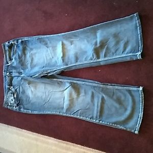 Ladies size 20W Earl Jeans